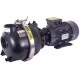 Pacer T Pumps Centrifugal Electric Motor Driven Pumps