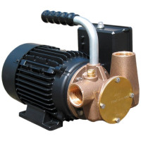 Jabsco P40 Utility Lubricating Oil Transfer Pump 1.5 Bar 20 Lpm 53041-2053-110V