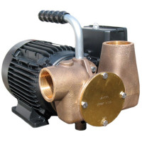 Jabsco P80 Utility Lubricating Oil Transfer Pump 1.5 Bar 40 Lpm 53081-2053-230V
