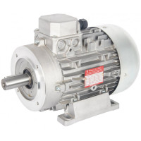 Electric Motor for Pumps 415V 7.5 Hp 2800 Rpm Solid Shaft