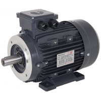 Electric Motor for Pumps 415V 20.5 Hp 1450 Rpm Solid Shaft