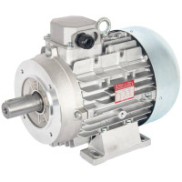 Electric Motor for Pumps 415V 10.0 Hp 1450 Rpm Solid Shaft