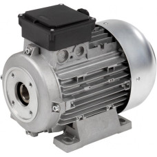 Electric Motor for Pumps 240V  3.0 Hp 2800 Rpm Hollow Shaft