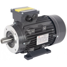 Electric Motor for Pumps 415V 2.0 Hp 1450 Rpm Solid Shaft