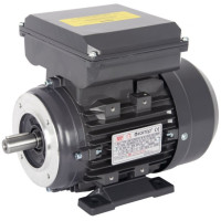 Electric Motor for Pumps 110V 0.74 Hp 1450 Rpm Solid Shaft