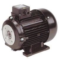 Electric Motor for Pumps 415V 5.5 Hp 1450 Rpm Hollow Shaft