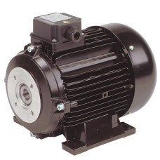 Electric Motor for Pumps 415V 5.5 Hp 1450 Rpm Hollow Shaft