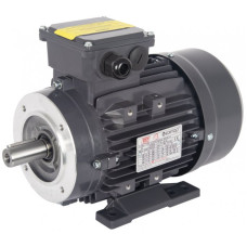 Electric Motor for Pumps 415V 3.0 Hp 2800 Rpm Solid Shaft