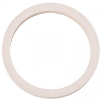 Banjo Gasket 9901-V20275GV Santoprene