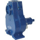 Renson Centrifugal Pedestal Mounted Self Priming Cast Iron Pump