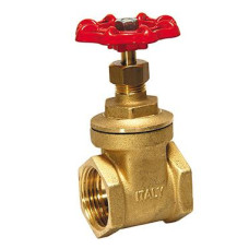 APP 1" Gate Valve C/W Reducing Nipple