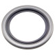 Dowty Washers Stainless Steel Fittings