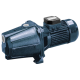 Ebara AGA/C Cast Iron Centrifugal Jet Pumps 