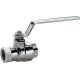 Stainless Steel High Pressure Ball Valves