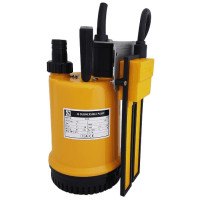 RS 100 Pump Submersible Water Pump fitted with Reka Regulator 110v 75 LPM 7 HM