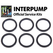 Interpump Service/Repair Kit 129