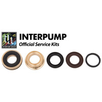 Interpump Service/Repair Kit 131