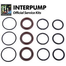 Interpump Service/Repair Kit 141