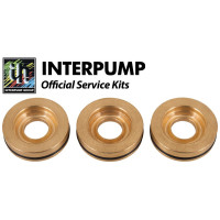 Interpump Service/Repair Kit 152