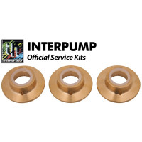 Interpump Service/Repair Kit 154