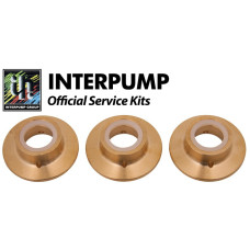 Interpump Service/Repair Kit 154