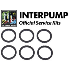 Interpump Service/Repair Kit 155