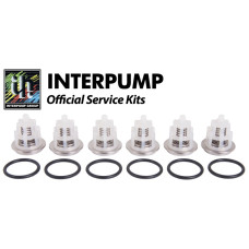 Interpump Service/Repair Kit 169