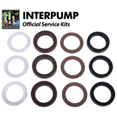 Interpump Service/Repair Kit 170