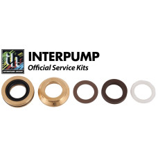 Interpump Service/Repair Kit 173