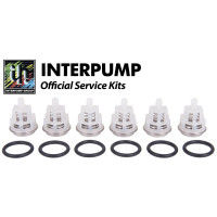 Interpump Service/Repair Kit 192