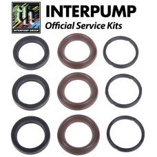 Interpump Service/Repair Kit 196