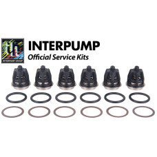 Interpump Service/Repair Kit 201