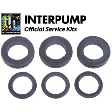 Interpump Service/Repair Kit 202