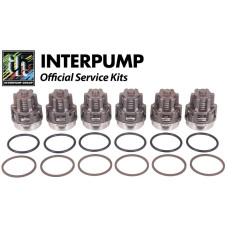 Interpump Service/Repair Kit 2030