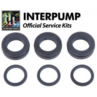 Interpump Service/Repair Kit 204