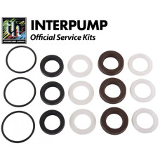 Interpump Service/Repair Kit 273