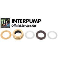 Interpump Service/Repair Kit 291