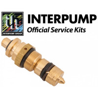 Interpump Service/Repair Kit 305