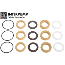 Interpump Service/Repair Kit 344