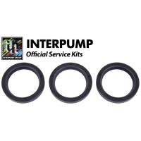 Interpump Service/Repair Kit 37