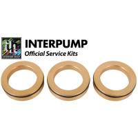 Interpump Service/Repair Kit 40