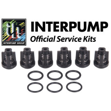 Interpump Service/Repair Kit 502