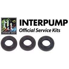 Interpump Service/Repair Kit 503