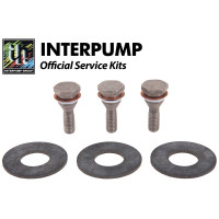 Interpump Service/Repair Kit 54