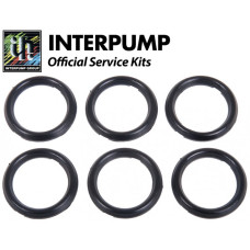 Interpump Service/Repair Kit 65