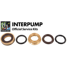 Interpump Service/Repair Kit 67