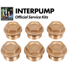 Interpump Service/Repair Kit 84