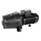 Pentair STA-RITE Cast Iron Centrifugal Jet Pumps