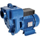 Speroni HG HGM Self-Priming Mono-Block Water Pumps Electric Motor