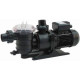 Pentair Sta-Rite Swimming Pool Pumps